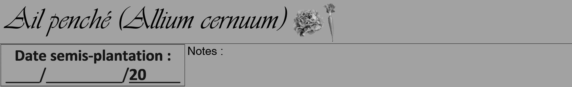 Étiquette de : Allium cernuum - format a - style noire38viv avec comestibilité simplifiée