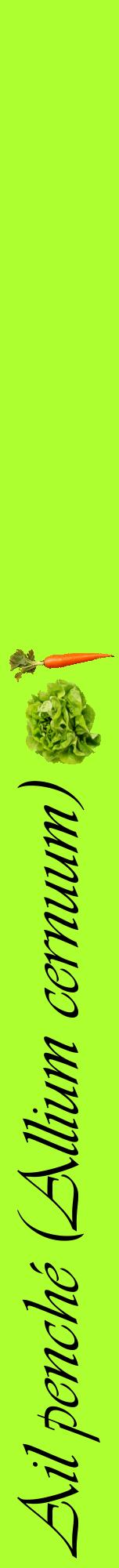 Étiquette de : Allium cernuum - format a - style noire17viv avec comestibilité simplifiée