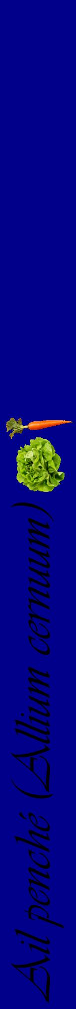Étiquette de : Allium cernuum - format a - style noire7viv avec comestibilité simplifiée