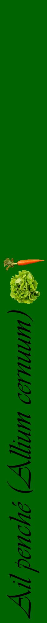 Étiquette de : Allium cernuum - format a - style noire8viv avec comestibilité simplifiée