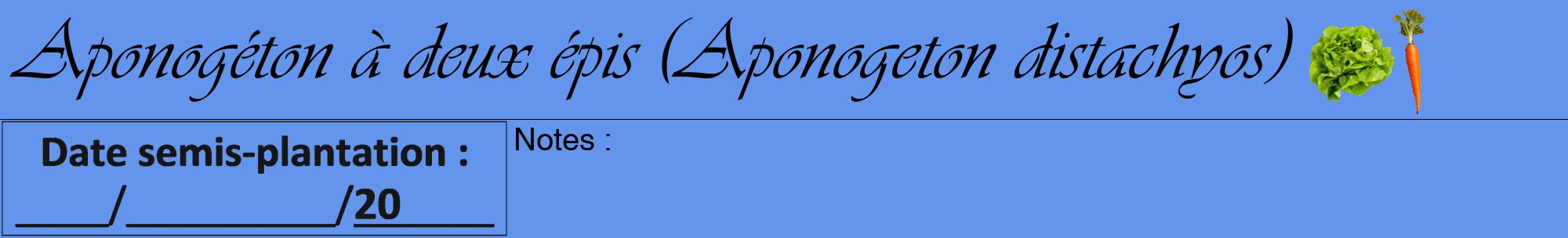 Étiquette de : Aponogeton distachyos - format a - style noire4viv avec comestibilité simplifiée