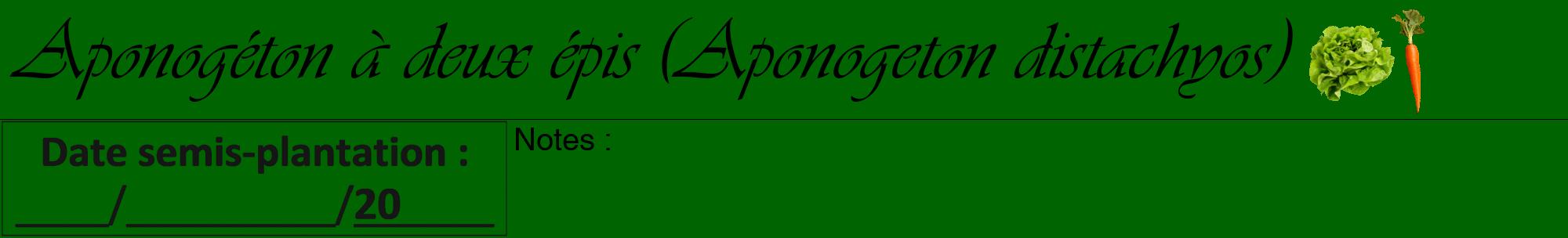 Étiquette de : Aponogeton distachyos - format a - style noire8viv avec comestibilité simplifiée