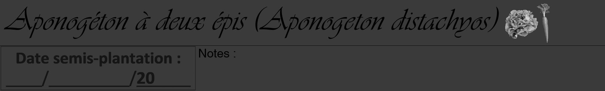 Étiquette de : Aponogeton distachyos - format a - style noire8viv avec comestibilité simplifiée