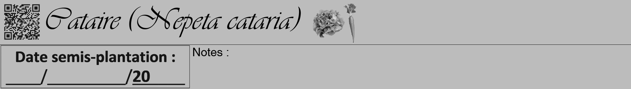Étiquette de : Nepeta cataria - format a - style noire1viv avec qrcode et comestibilité simplifiée