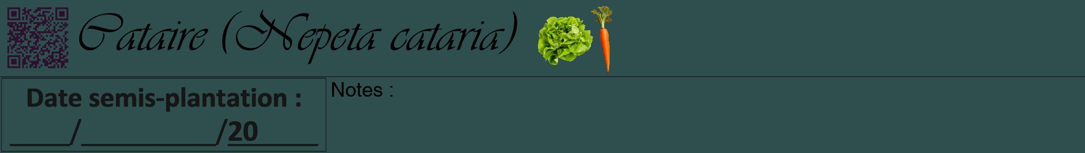 Étiquette de : Nepeta cataria - format a - style noire58viv avec qrcode et comestibilité simplifiée