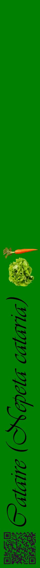 Étiquette de : Nepeta cataria - format a - style noire9viv avec qrcode et comestibilité simplifiée