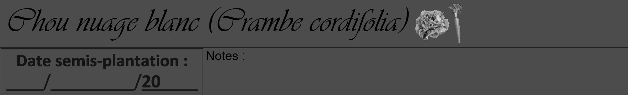 Étiquette de : Crambe cordifolia - format a - style noire27viv avec comestibilité simplifiée