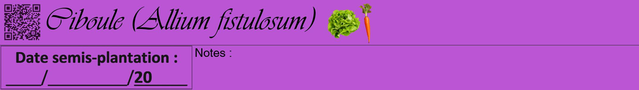 Étiquette de : Allium fistulosum - format a - style noire50viv avec qrcode et comestibilité simplifiée