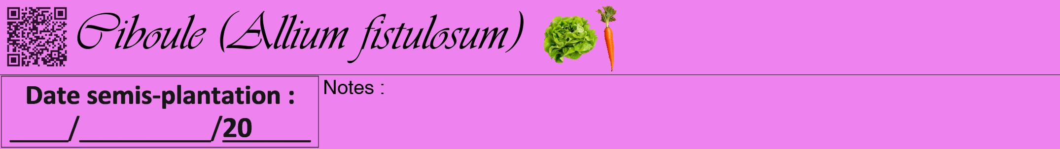 Étiquette de : Allium fistulosum - format a - style noire53viv avec qrcode et comestibilité simplifiée