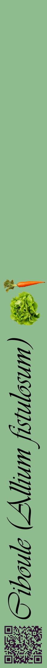 Étiquette de : Allium fistulosum - format a - style noire13viv avec qrcode et comestibilité simplifiée