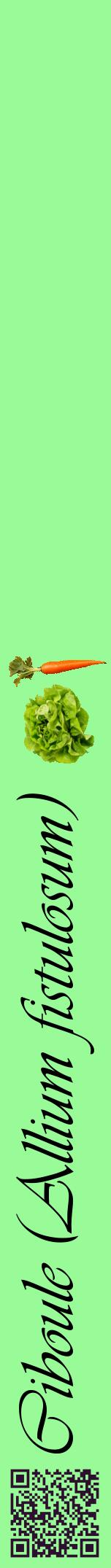 Étiquette de : Allium fistulosum - format a - style noire14viv avec qrcode et comestibilité simplifiée