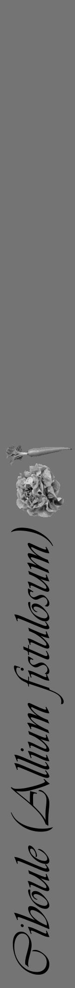Étiquette de : Allium fistulosum - format a - style noire26viv avec comestibilité simplifiée - position verticale