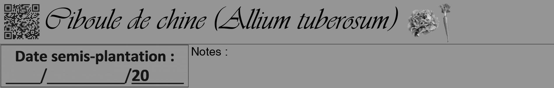 Étiquette de : Allium tuberosum - format a - style noire16basiqueviv avec qrcode et comestibilité simplifiée