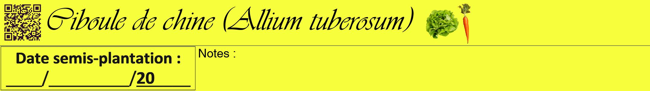 Étiquette de : Allium tuberosum - format a - style noire18viv avec qrcode et comestibilité simplifiée