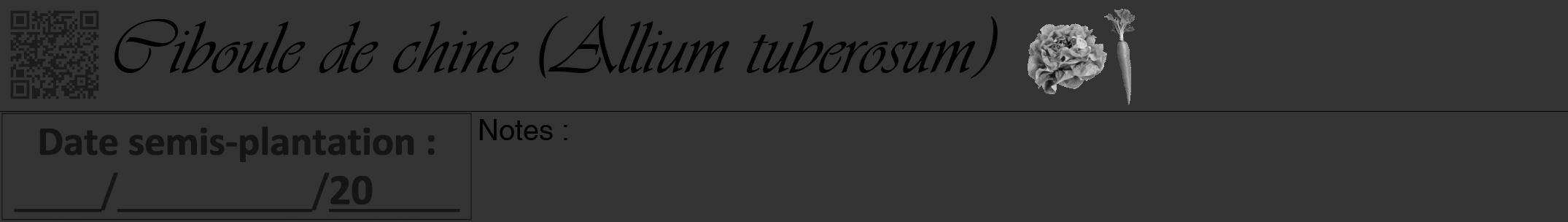 Étiquette de : Allium tuberosum - format a - style noire46viv avec qrcode et comestibilité simplifiée