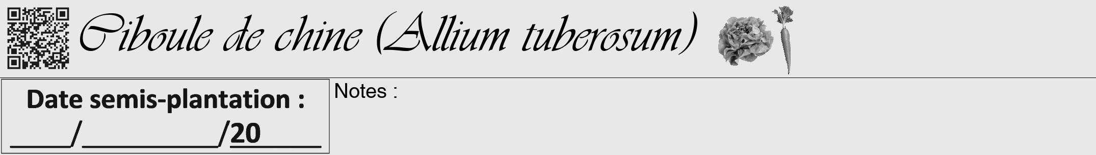 Étiquette de : Allium tuberosum - format a - style noire55viv avec qrcode et comestibilité simplifiée