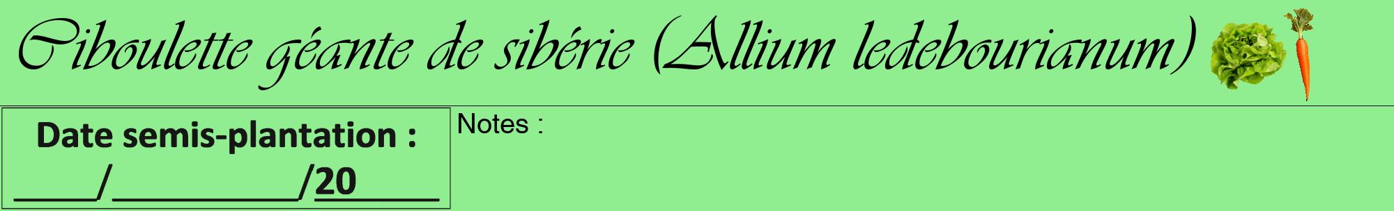 Étiquette de : Allium ledebourianum - format a - style noire15viv avec comestibilité simplifiée