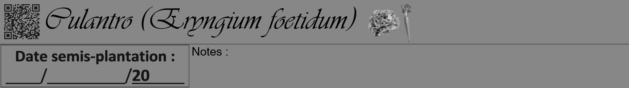 Étiquette de : Eryngium foetidum - format a - style noire12simpleviv avec qrcode et comestibilité simplifiée