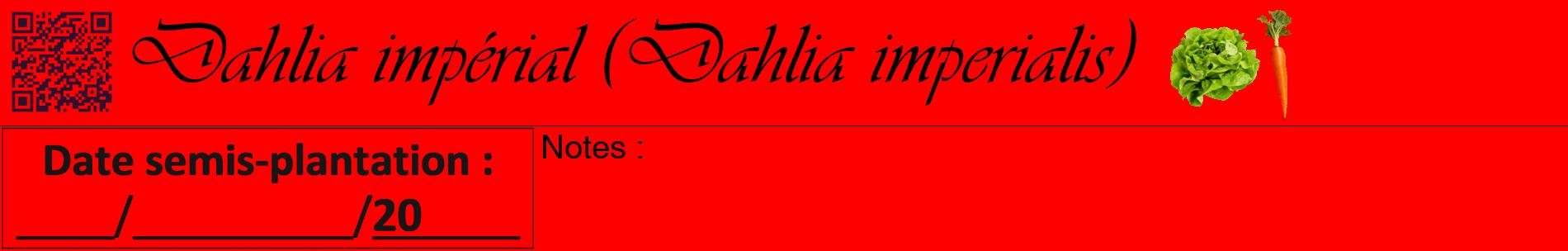 Étiquette de : Dahlia imperialis - format a - style noire27basiqueviv avec qrcode et comestibilité simplifiée