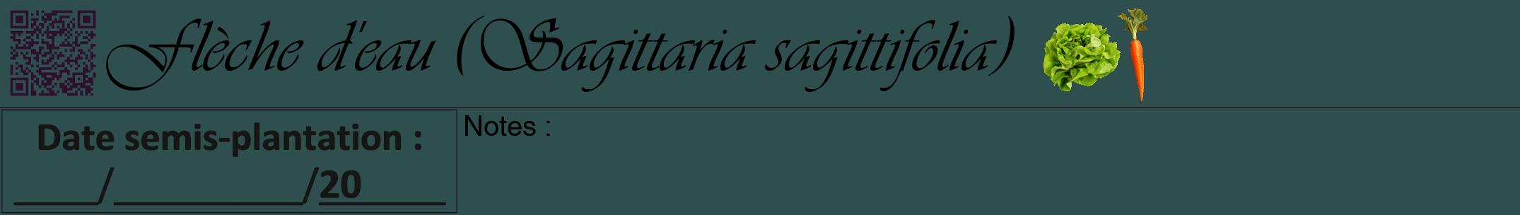 Étiquette de : Sagittaria sagittifolia - format a - style noire58simpleviv avec qrcode et comestibilité simplifiée