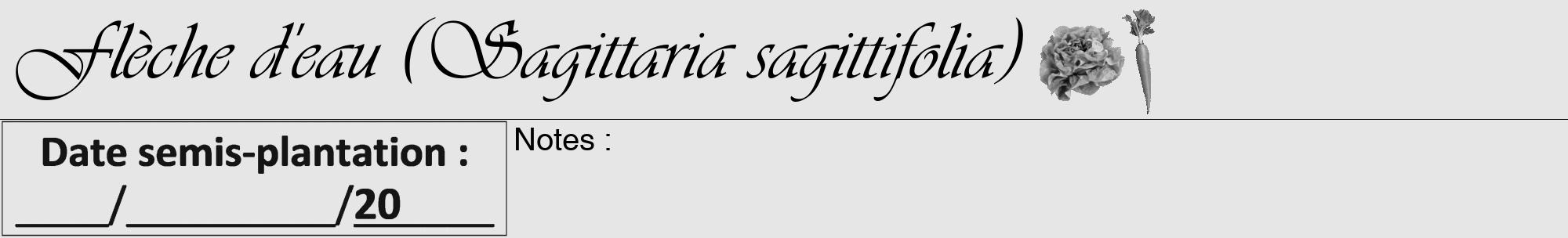 Étiquette de : Sagittaria sagittifolia - format a - style noire18viv avec comestibilité simplifiée