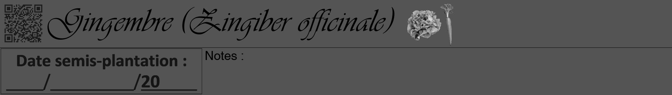 Étiquette de : Zingiber officinale - format a - style noire36viv avec qrcode et comestibilité simplifiée