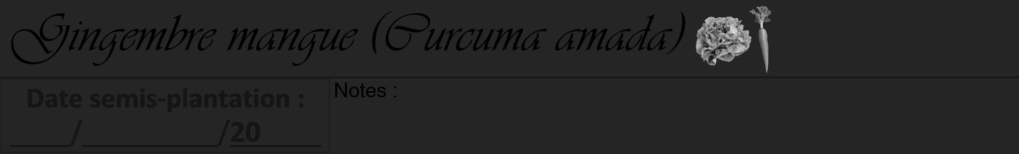 Étiquette de : Curcuma amada - format a - style noire47viv avec comestibilité simplifiée