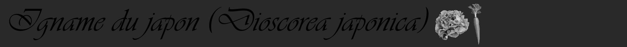 Étiquette de : Dioscorea japonica - format a - style noire34viv avec comestibilité simplifiée