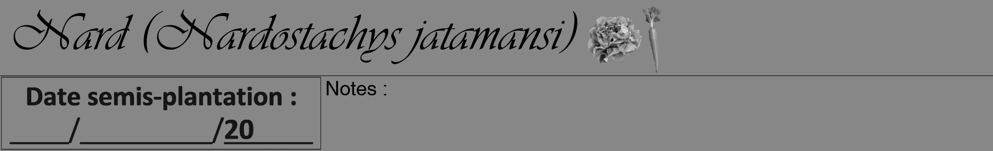 Étiquette de : Nardostachys jatamansi - format a - style noire12basiqueviv avec comestibilité simplifiée