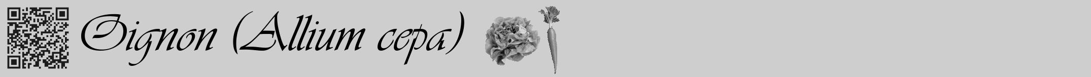 Étiquette de : Allium cepa - format a - style noire17viv avec qrcode et comestibilité simplifiée
