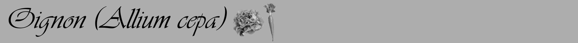 Étiquette de : Allium cepa - format a - style noire22viv avec comestibilité simplifiée