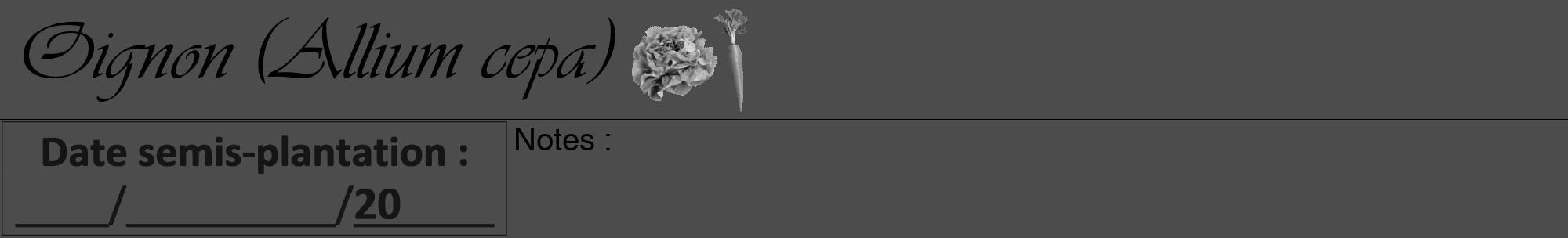 Étiquette de : Allium cepa - format a - style noire27viv avec comestibilité simplifiée