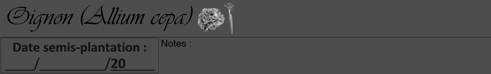Étiquette de : Allium cepa - format a - style noire28viv avec comestibilité simplifiée