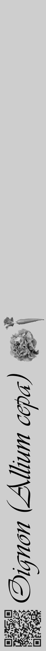 Étiquette de : Allium cepa - format a - style noire17viv avec qrcode et comestibilité simplifiée - position verticale
