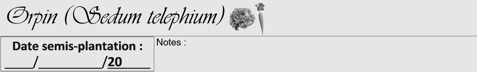 Étiquette de : Sedum telephium - format a - style noire18viv avec comestibilité simplifiée
