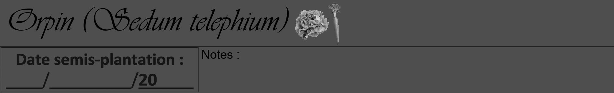Étiquette de : Sedum telephium - format a - style noire33viv avec comestibilité simplifiée