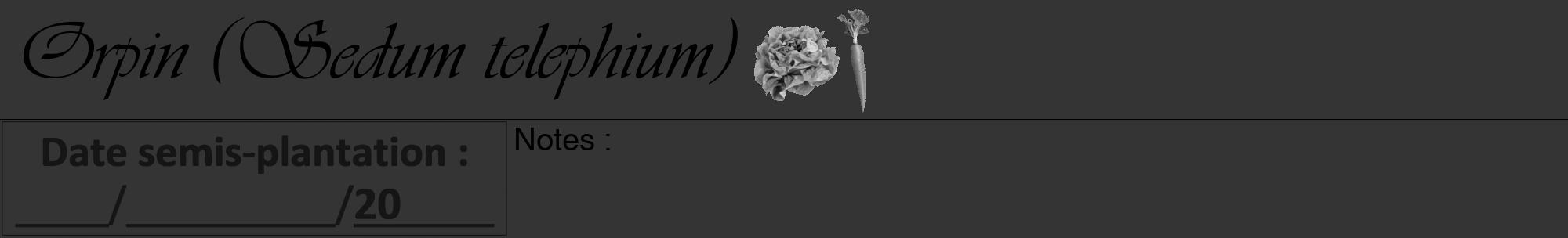 Étiquette de : Sedum telephium - format a - style noire46viv avec comestibilité simplifiée