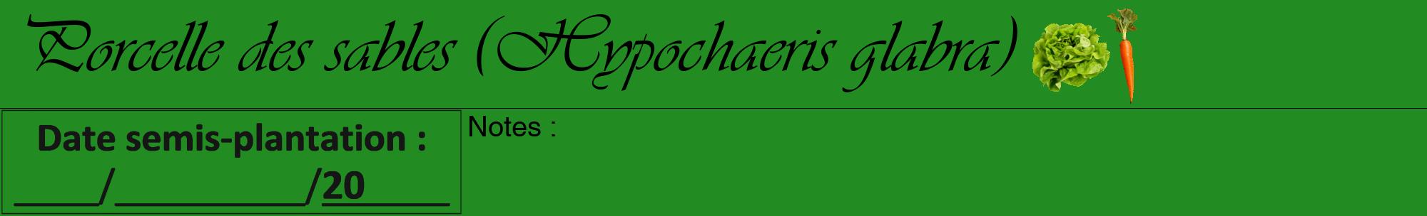 Étiquette de : Hypochaeris glabra - format a - style noire10viv avec comestibilité simplifiée