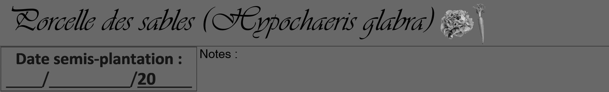 Étiquette de : Hypochaeris glabra - format a - style noire43viv avec comestibilité simplifiée