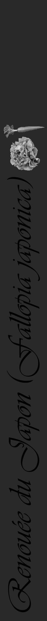 Étiquette de : Fallopia japonica - format a - style noire34viv avec comestibilité simplifiée - position verticale