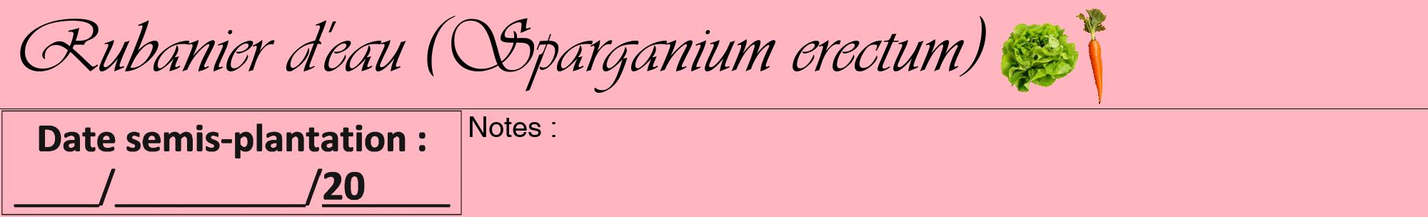 Étiquette de : Sparganium erectum - format a - style noire41viv avec comestibilité simplifiée