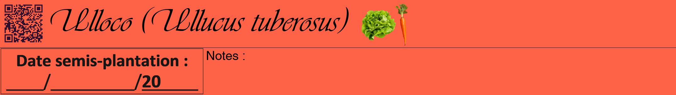 Étiquette de : Ullucus tuberosus - format a - style noire25viv avec qrcode et comestibilité simplifiée