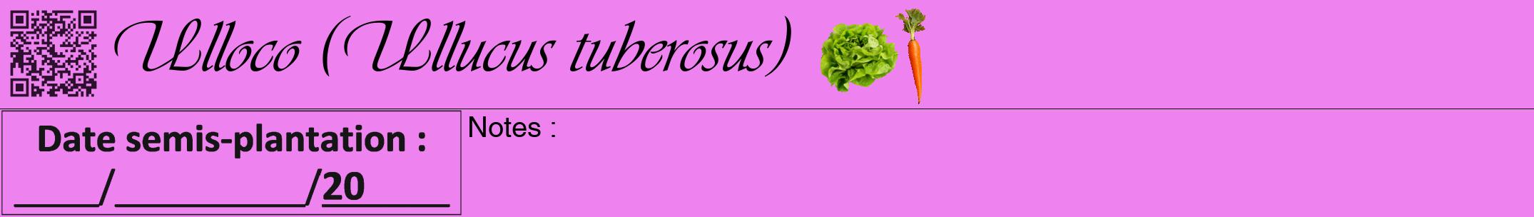 Étiquette de : Ullucus tuberosus - format a - style noire53viv avec qrcode et comestibilité simplifiée