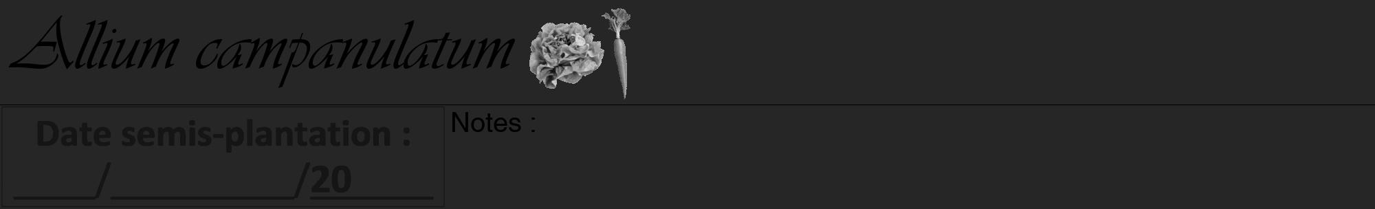 Étiquette de : Allium campanulatum - format a - style noire29viv avec comestibilité simplifiée