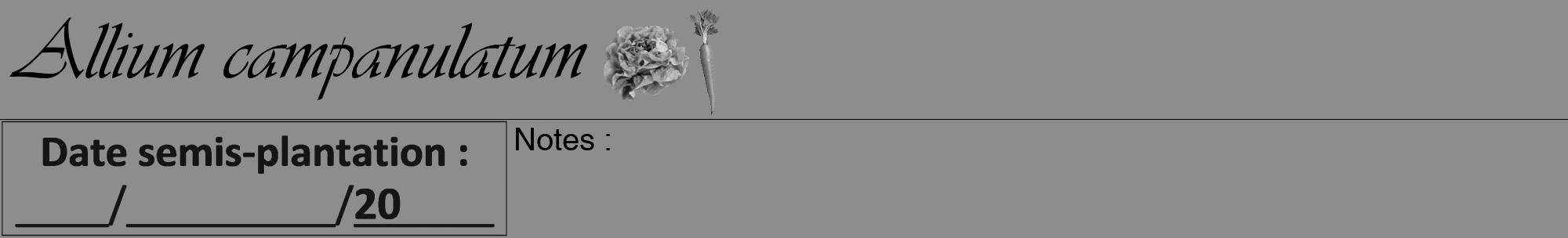 Étiquette de : Allium campanulatum - format a - style noire2viv avec comestibilité simplifiée
