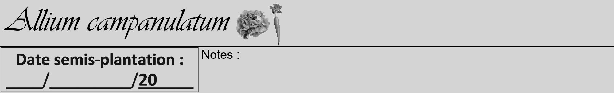 Étiquette de : Allium campanulatum - format a - style noire40viv avec comestibilité simplifiée