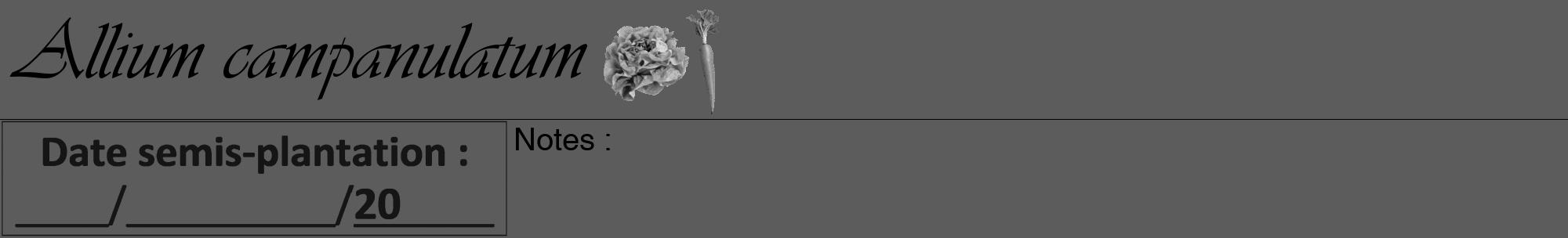 Étiquette de : Allium campanulatum - format a - style noire49viv avec comestibilité simplifiée