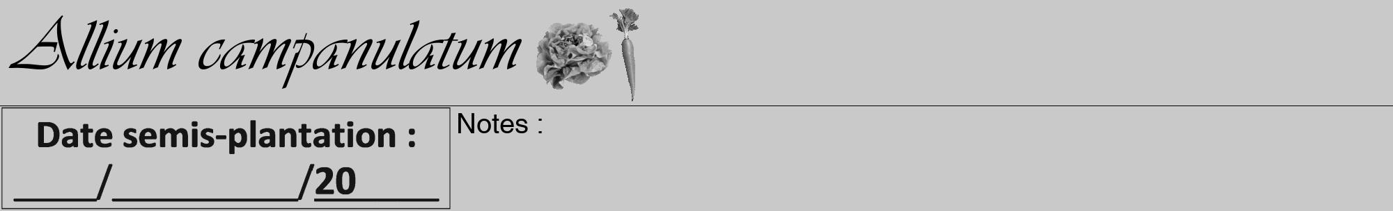 Étiquette de : Allium campanulatum - format a - style noire54viv avec comestibilité simplifiée