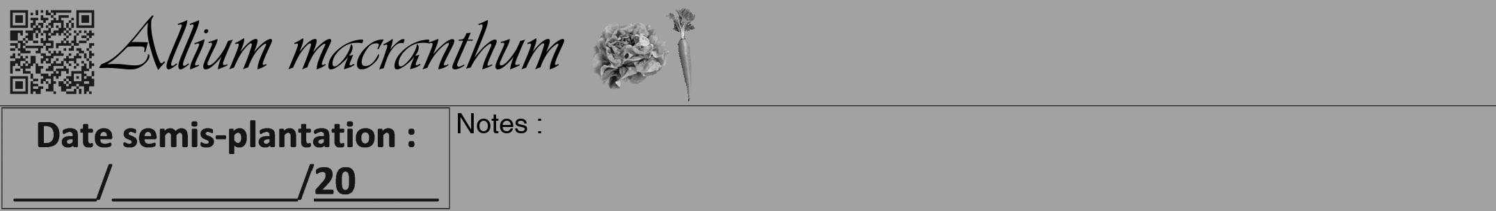 Étiquette de : Allium macranthum - format a - style noire38viv avec qrcode et comestibilité simplifiée
