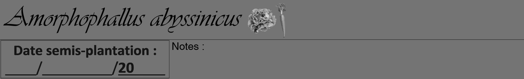 Étiquette de : Amorphophallus abyssinicus - format a - style noire26viv avec comestibilité simplifiée